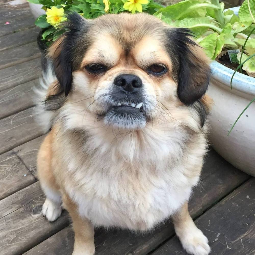 Meet your Posher, Bethia